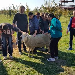Varstveno delovni center Muc